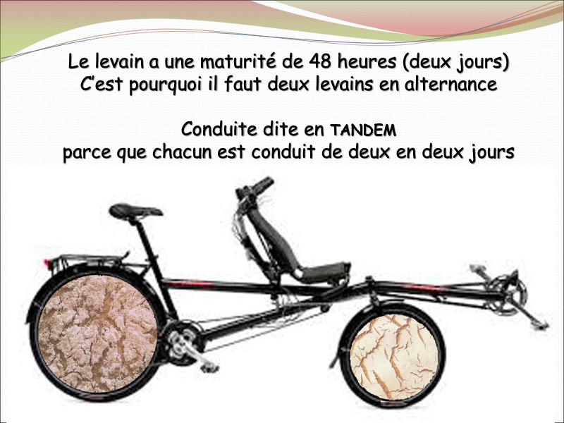 Levain système tandem