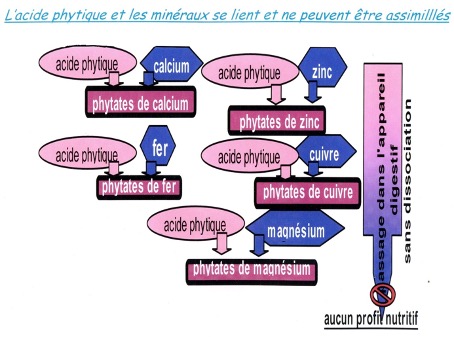 La contamination de la levure ambiante existe-t-elle dans le levain.