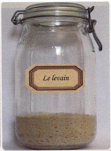 Démarrage d'un nouveau levain en bocal