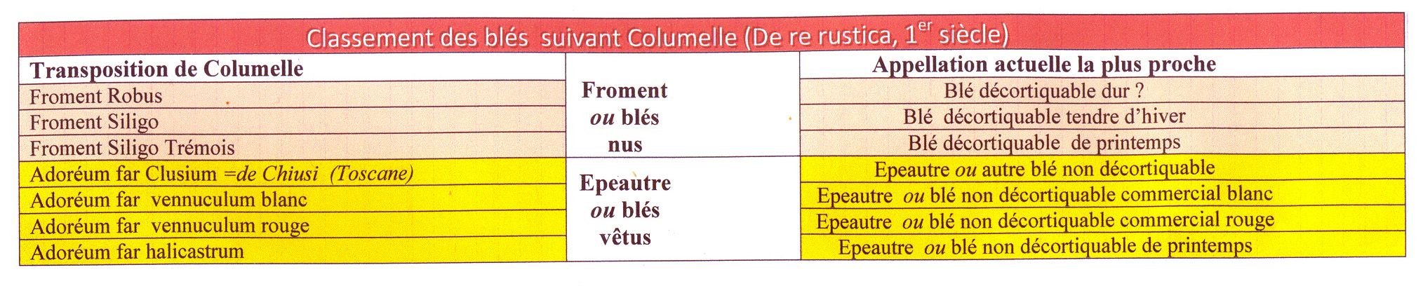 Classement_Columelle