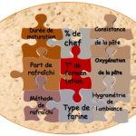 Puzzle_levain