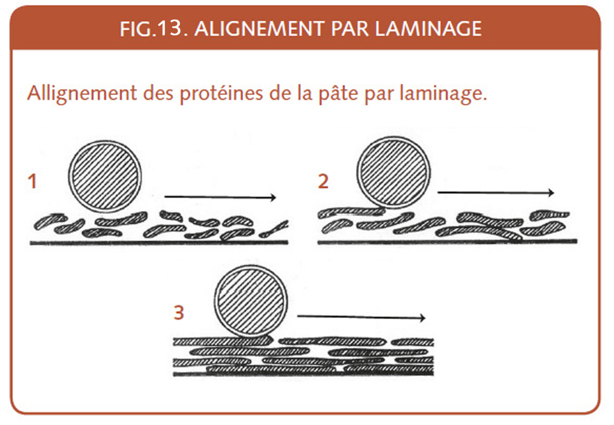 18_189_L'alignement des proteines par laminage.jpg