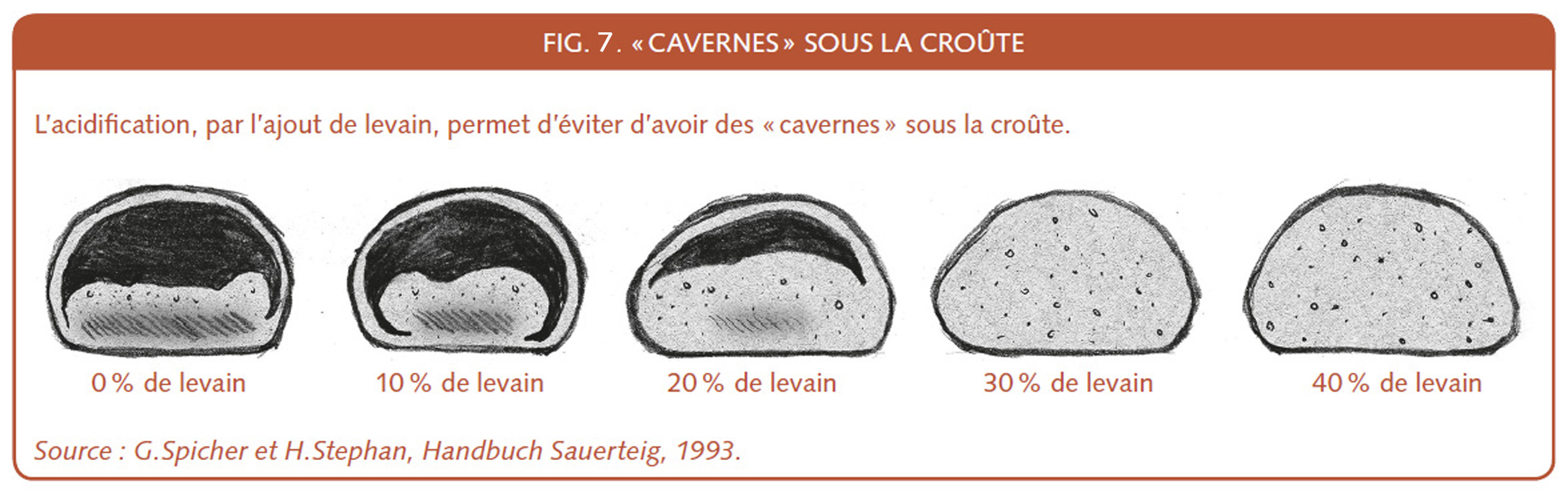 19_198_Cavernes sous la croute.jpg