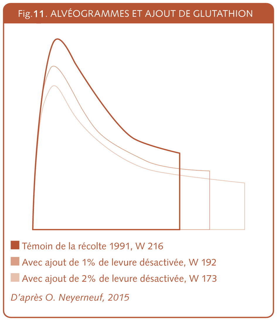 16_141_Alveogramme et ajout de glutathion.jpg